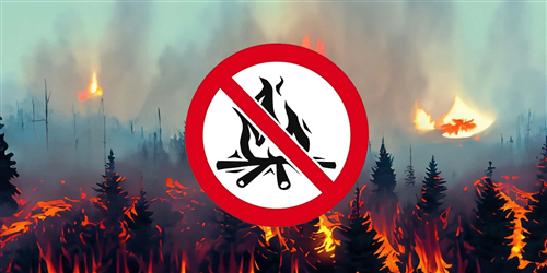Raccomandazioni per la prevenzione degli incendi boschivi